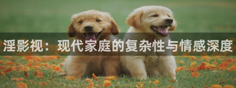 神马电影飘雪影院：淫影视：现代家庭的复杂性与情感深度
