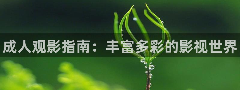 飘雪影院热门电影有哪些：成人观影指南：丰富多彩的影视世界