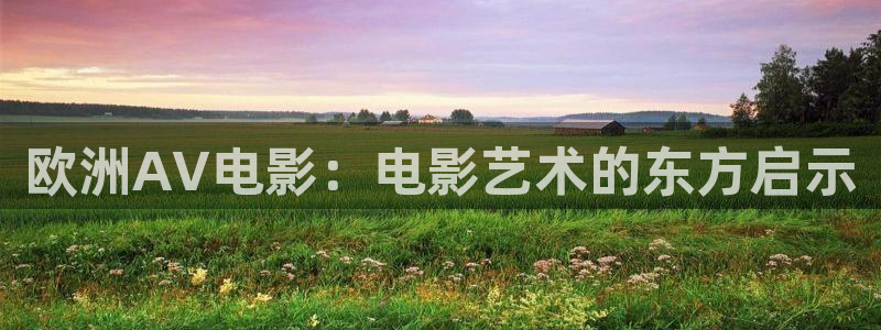 飘雪影院手机在线观看：欧洲AV电影：电影艺术的东方启示