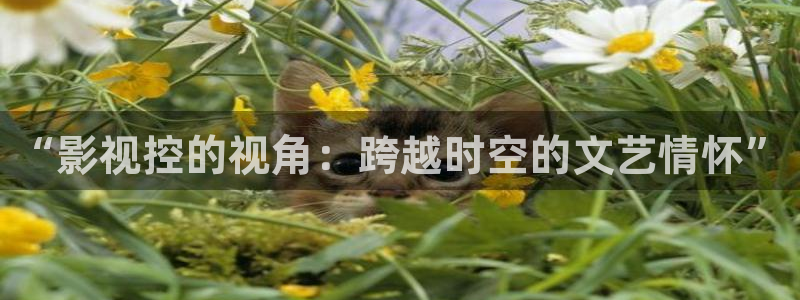 飘雪影院热播电影电视剧：“影视控的视角：跨越时空的文艺情怀”