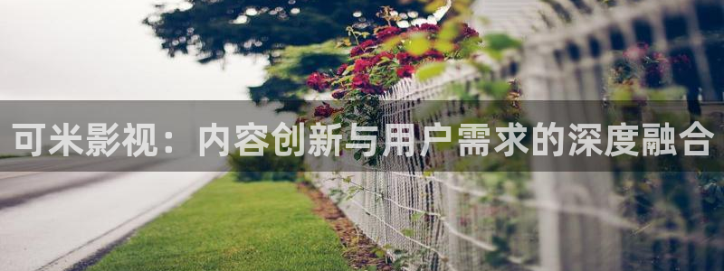 飘雪影院电影手机在线观看：可米影视：内容创新与用户需求的深度融合
