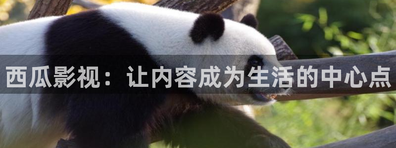 飘雪影院在线观看免费高清完整电影：西瓜影视：让内容成为生活的中心点
