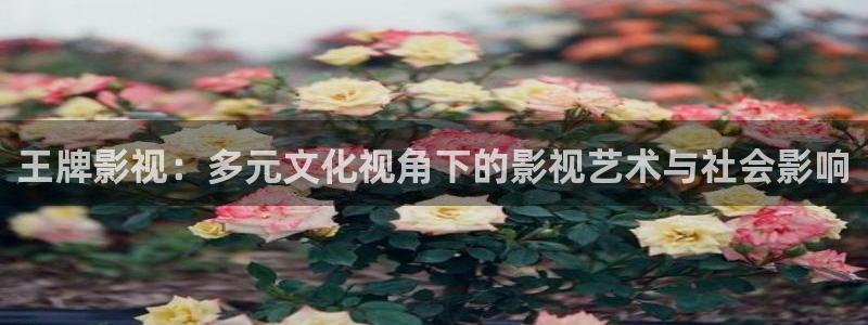 伦理片飘雪影院：王牌影视：多元文化视角下的影视艺术与社会影响