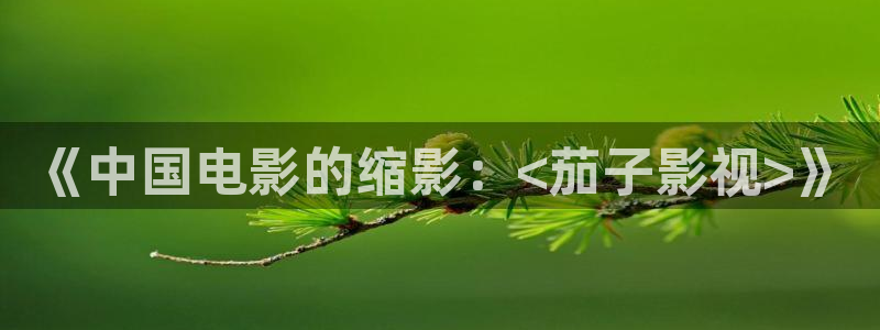 飘雪影院在线观看完整版动漫免费：《中国电影的缩影：<茄子影视>》