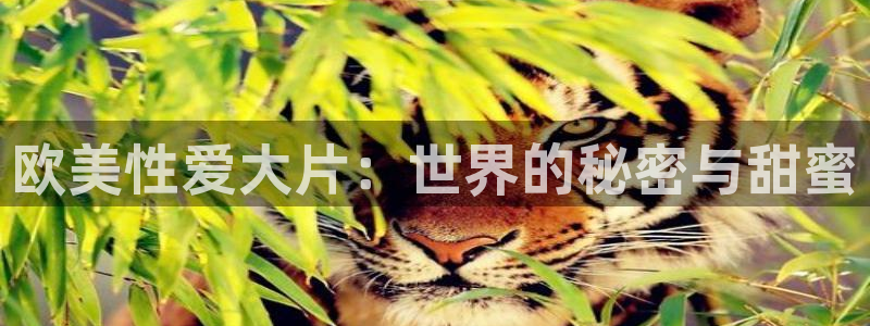 飘雪影院在线观看免费高清：欧美性爱大片：世界的秘密与甜蜜