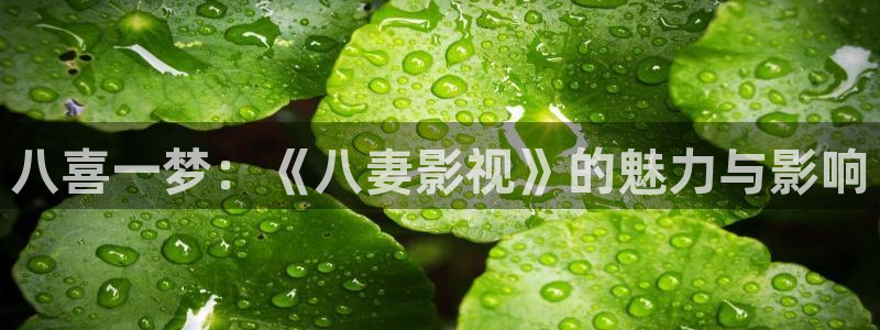 飘雪影院在线观看高清完整版：八喜一梦：《八妻影视》的魅力与影响