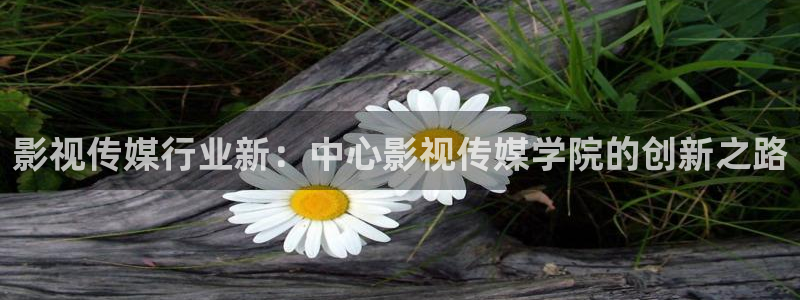 飘雪影院手机2019：影视传媒行业新：中心影视传媒学院的创新之路