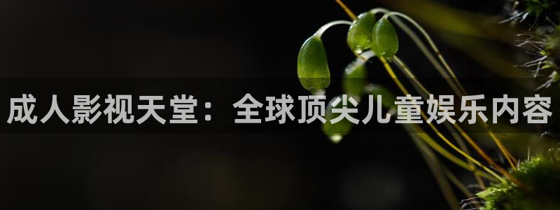 飘雪影院免费完整版：成人影视天堂：全球顶尖儿童娱乐内容