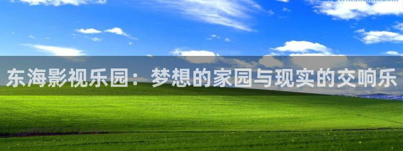 飘雪影院电视剧在线观看：东海影视乐园：梦想的家园与现实的交响乐