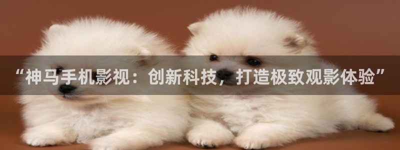 飘雪影院电影在线观看记录：“神马手机影视：创新科技，打造极致观影体验”