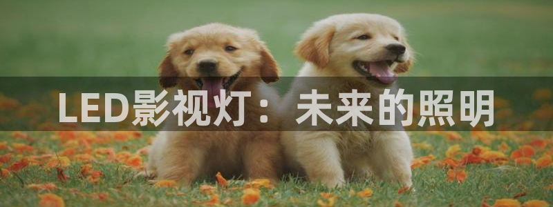 飘雪影院高清完整版在线观看免费：LED影视灯：未来的照明